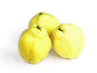 ripe quinces