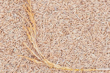 Rice background