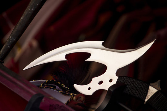 Close up view of a bardiche type of medieval battle axe blade.