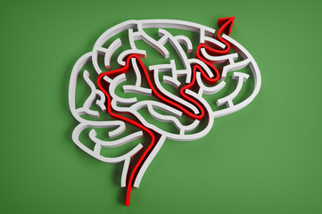 brain-like maze with red arrow