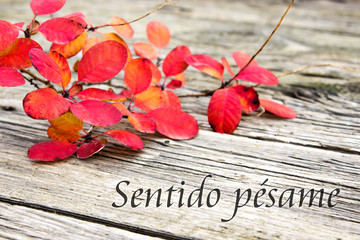 Condolence