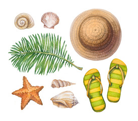 Summer holiday illustrations. Straw hat, flip flops, shells