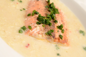 Wirsingcremesuppe mit gebratenem Wildlachs