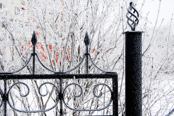 Winter iron fence
