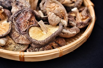 shiitake mushroom
