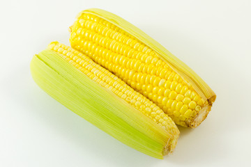 Grains of ripe corn on white background