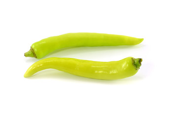 Green Pepper on white background