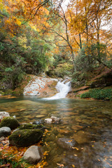 autumn,forest and stream,guang wu shan,sichuan,c hina