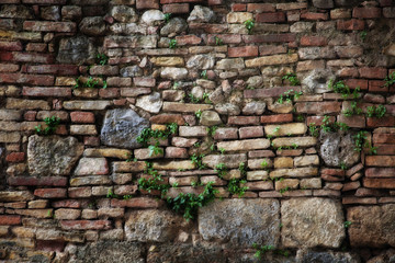 wall
