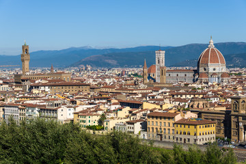 Fototapeta na wymiar Panorama of Florence #1