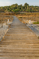 Obraz premium sunset scenic view of a wooden walkway