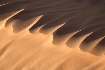 Zelfklevend Fotobehang Sable du Sahara, Tunisie © Delphotostock