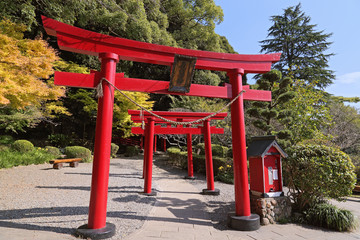 Torii