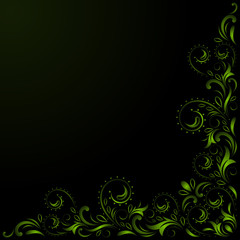 dark green foliage