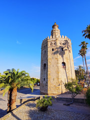 Fototapeta na wymiar Torre del Oro w Sewilli, w Hiszpanii