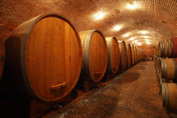 Wine barrels in wine-vaults in order