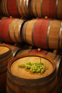 Barrels in the cellar with bunch of grape