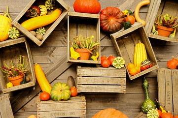 tableau de courges et cageots