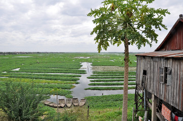 Fototapety na wymiar - Fototapeta24.pl
