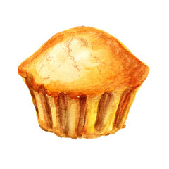 Watercolor image of muffin on white background