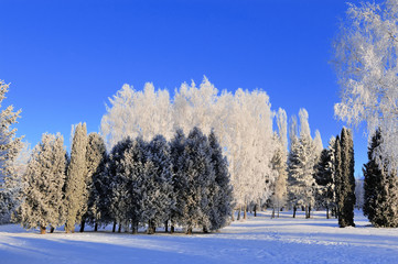 Winter park