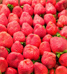 Fresh Whole Strawberries in a Market