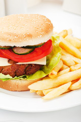 Hamburger with french fries