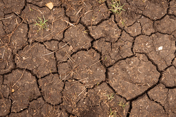 Closeup of dry soil texture