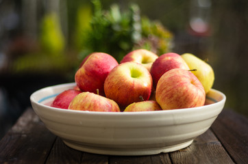 Bowl of fresh picked apples