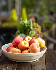 Bowl of fresh picked apples