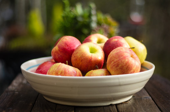 Bowl Of Fresh Picked Apples