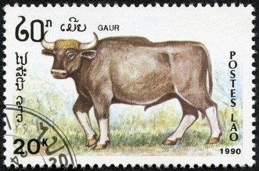stamp printed by Laos, shows gaur