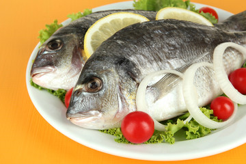 Dorado fish on table close-up