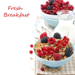 delicious granola with fresh berries and jug of milk, isolated