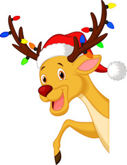 Cute deer cartoon with bulb and red hat