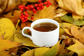 Cup of hot beverage, on yellow leaves background