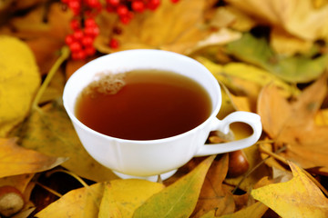 Cup of hot beverage, on yellow leaves background