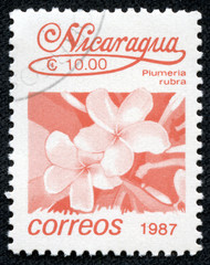 stamp printed in Nicaragua shows Plumeria Rubra, Tree, Flower