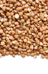 buckwheat;