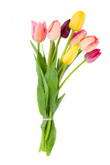 Posy of tulips flowers
