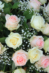 Pink and white roses