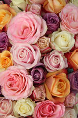 Mixed pastel roses