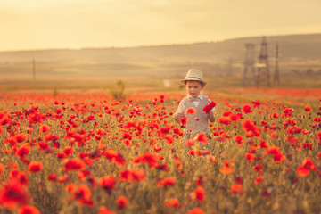 A boy in poppies