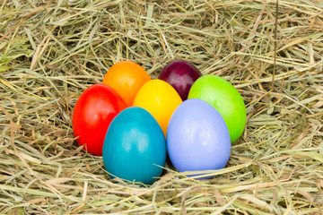 Ostereier im Heu