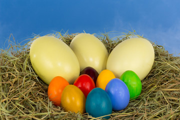 Ostereier Nanduei im Heu, Himmel 3