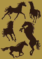 Silhouettes of horses in moving