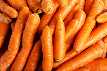 Carrots - a close up of the fresh.