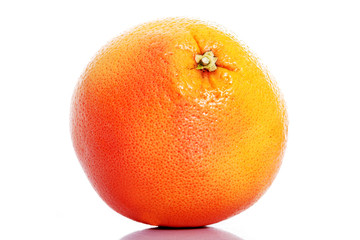 One orange fruit isolated.
