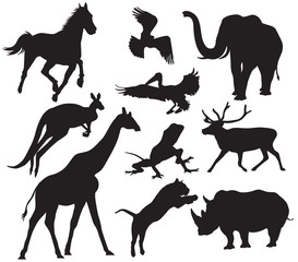 animals silhouette