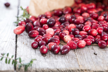 Heap of fresh Cranberries